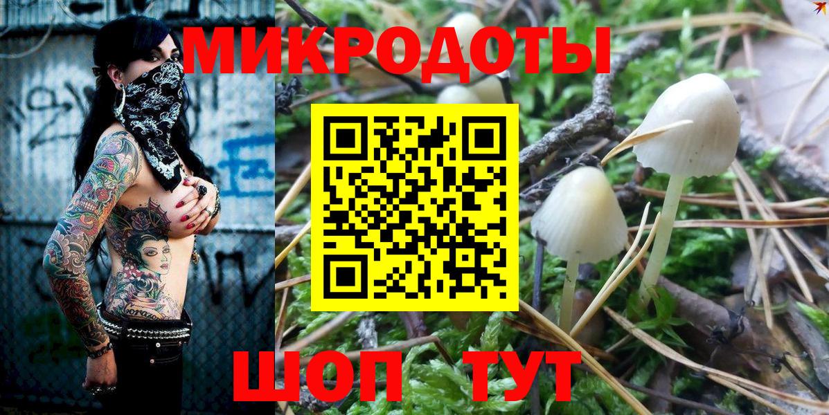 Галлюциногенные грибы Cubensis Йошкар-Ола